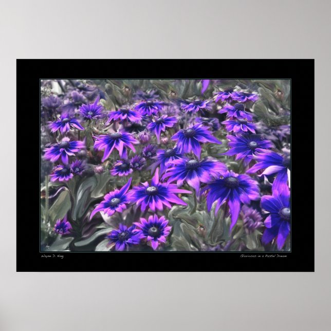 Affiches Moment de lumière noire dans l'affiche de Gloriosa (Devant)