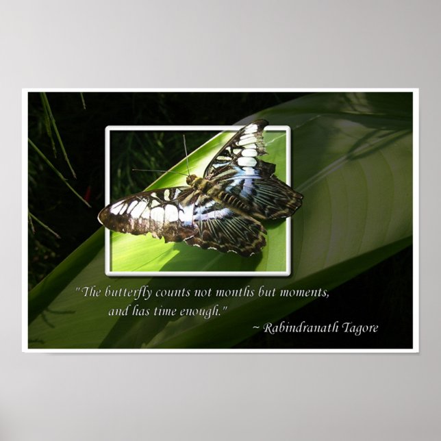 Affiches Moments dans le temps (Devant)