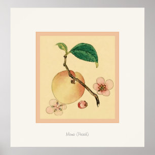 Affiches Momo (Pêche) ~ Vintage japonais Fine Art Print