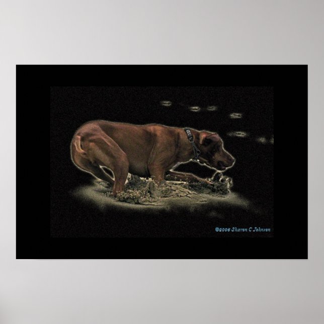 Affiches Mon Rhett (Devant)