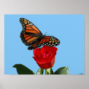 Affiches Monarque Majestic