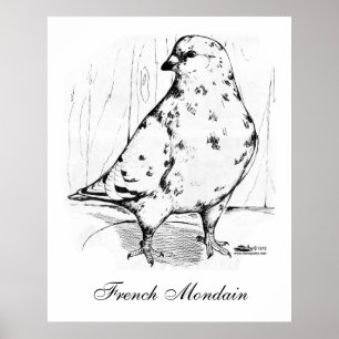 Affiches Mondain Pigeon 1978