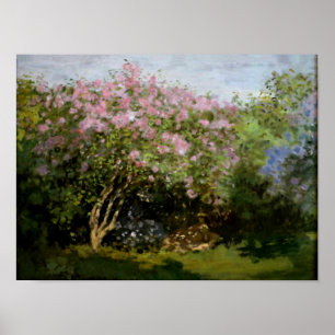 Affiches Monet - Lilacs au soleil