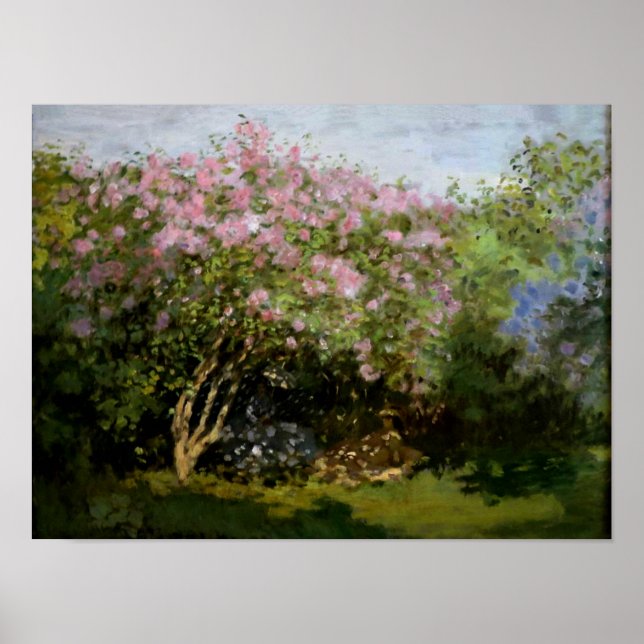 Affiches Monet - Lilacs au soleil (Devant)