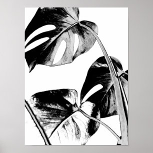 Affiches monstera palm feuille tropical noir et blanc
