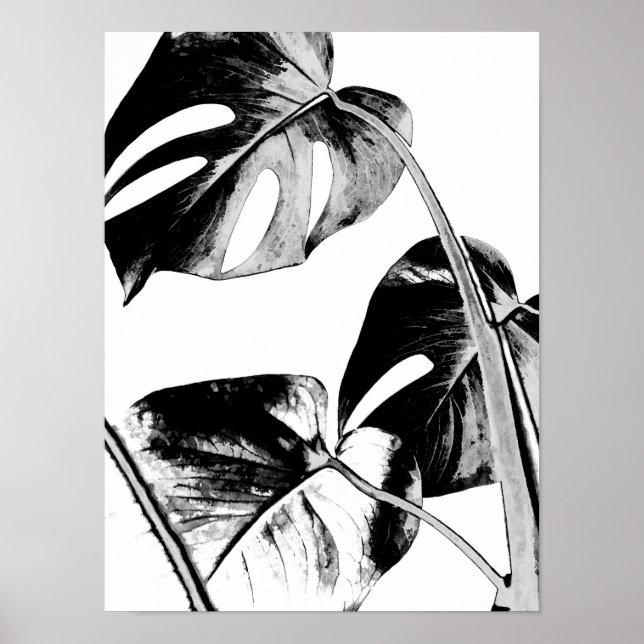 Affiches monstera palm feuille tropical noir et blanc (Devant)