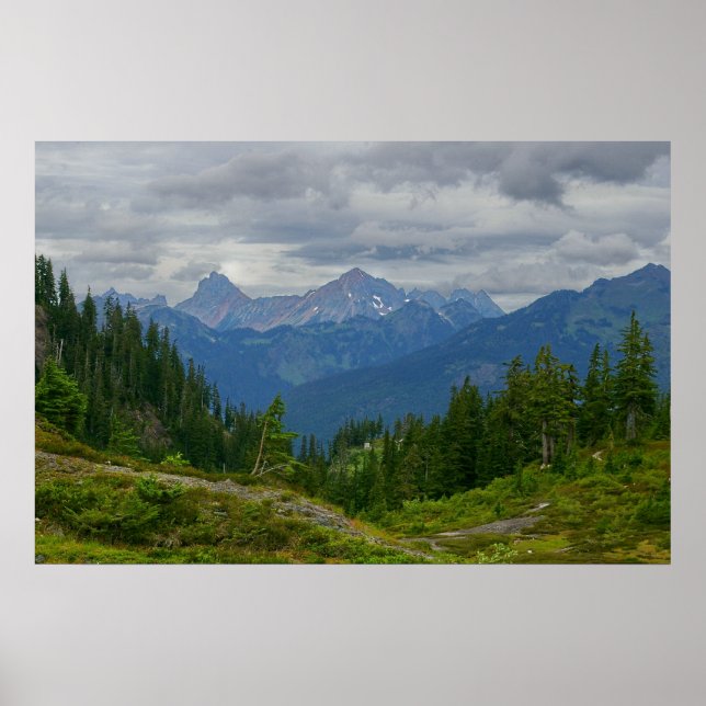 Affiches Montagne de chèvres (Devant)