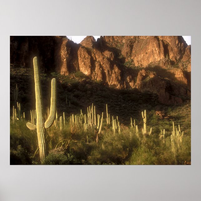 Affiches Montagne de superstition (Devant)