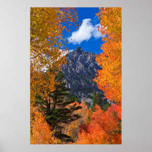 Affiches Montagne encadrée dans le feuillage d'automne, CA