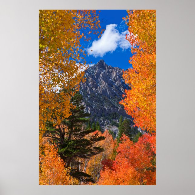 Affiches Montagne encadrée par le feuillage d'automne, CA (Devant)