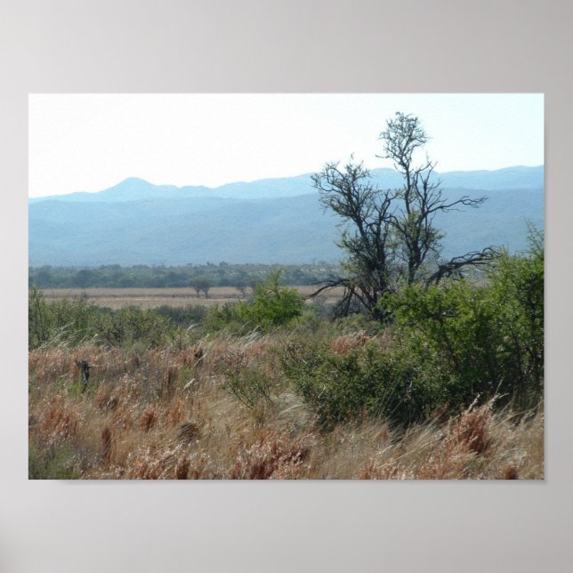 Affiches montagnes (Devant)