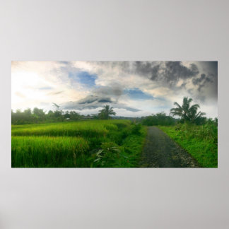Affiches Montagnes et champs de Ricefields