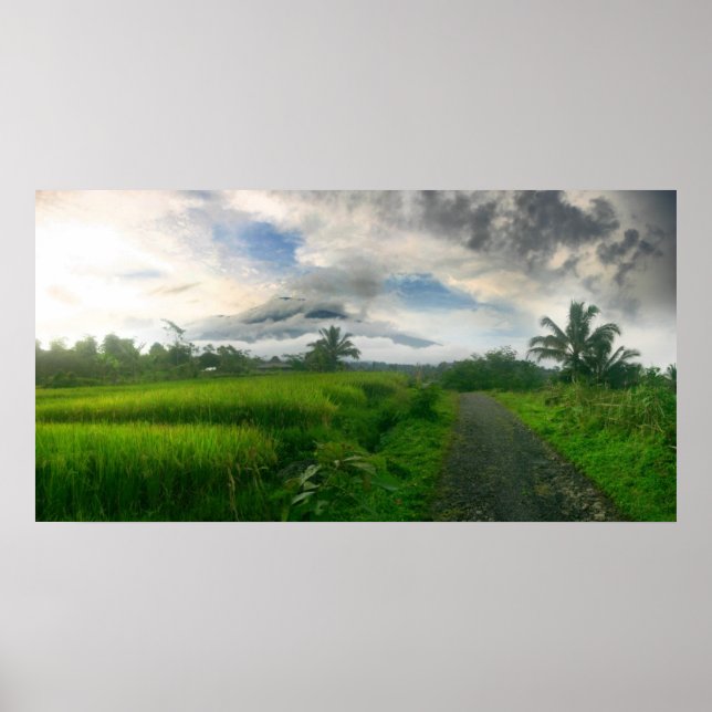 Affiches Montagnes et champs de Ricefields (Devant)