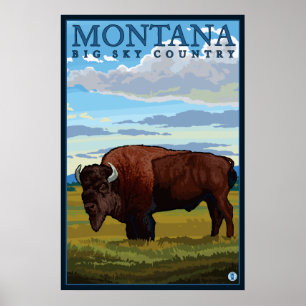 Affiches Montana - Bison