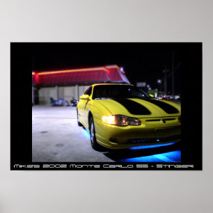 Affiches Monte Carlo SS 2002