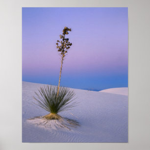 AFFICHES MONUMENT NATIONAL DE WHITE SANDS, NOUVEAU-MEXIQUE.