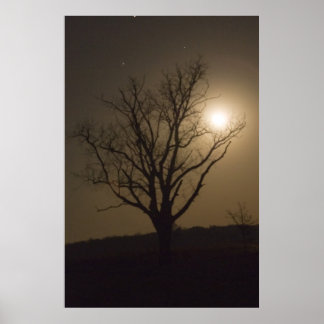 Affiches Moon de novembre