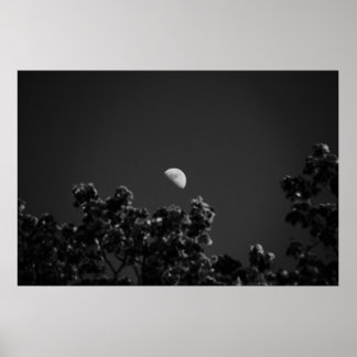 Affiches MoonB&W