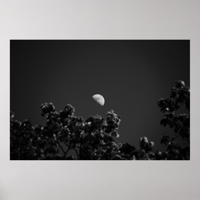 Affiches MoonB&W (Devant)
