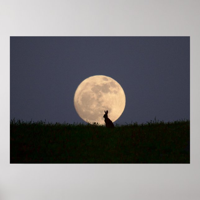 Affiches Moongazer (Devant)