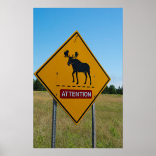 Affiches Moose Warning Sign