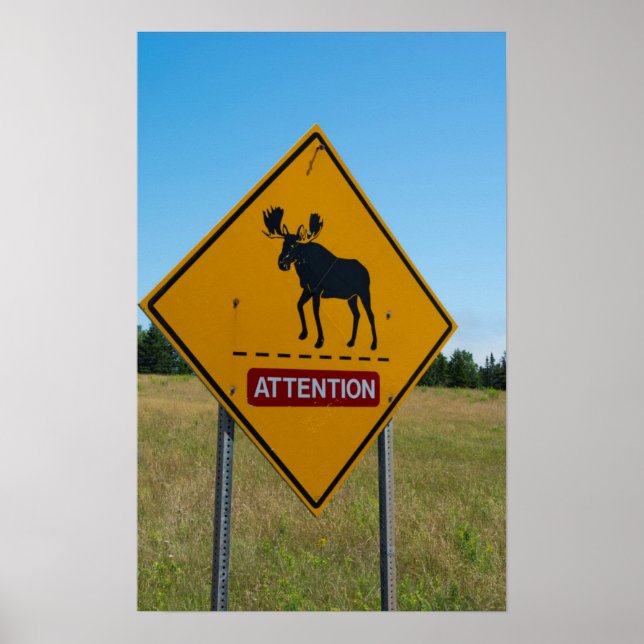 Affiches Moose Warning Sign (Devant)