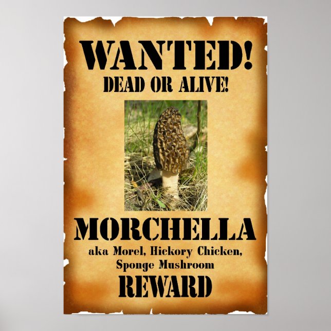 Affiches Morel - Recherché mort ou vivant (Devant)