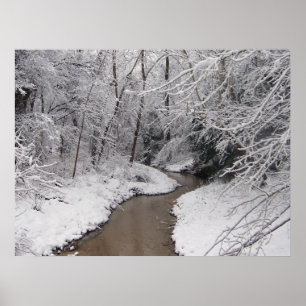 Affiches Mort d'hiver