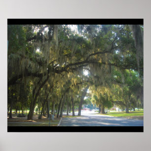 Affiches Moss espagnole en Géorgie