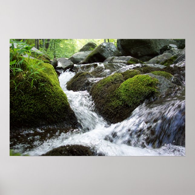 Affiches Moss Falls (Devant)