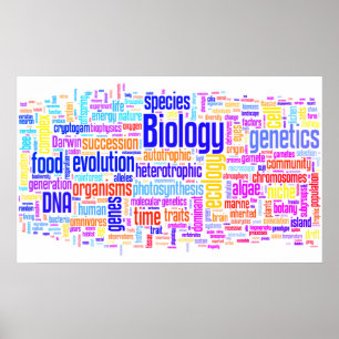Affiches Mot bibliologique No 17