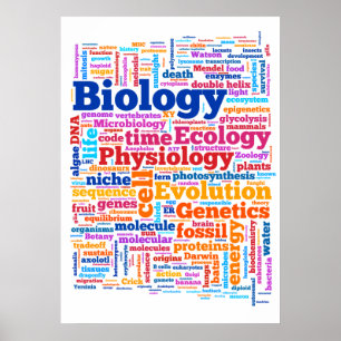 Affiches Mot bibliologique No 7