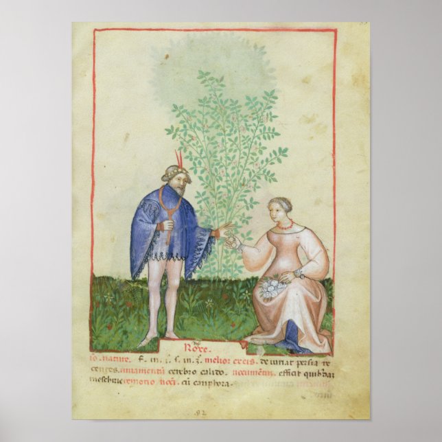Affiches Mot de passe Acq LatRoses, de 'Tacuinum Sanitatis' (Devant)