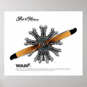 Affiches Moteur d'avions radial avec l'affiche d'art