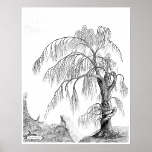 Affiches "Mother Nature," by Jeff Camden
