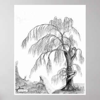 Affiches "Mother Nature," by Jeff Camden