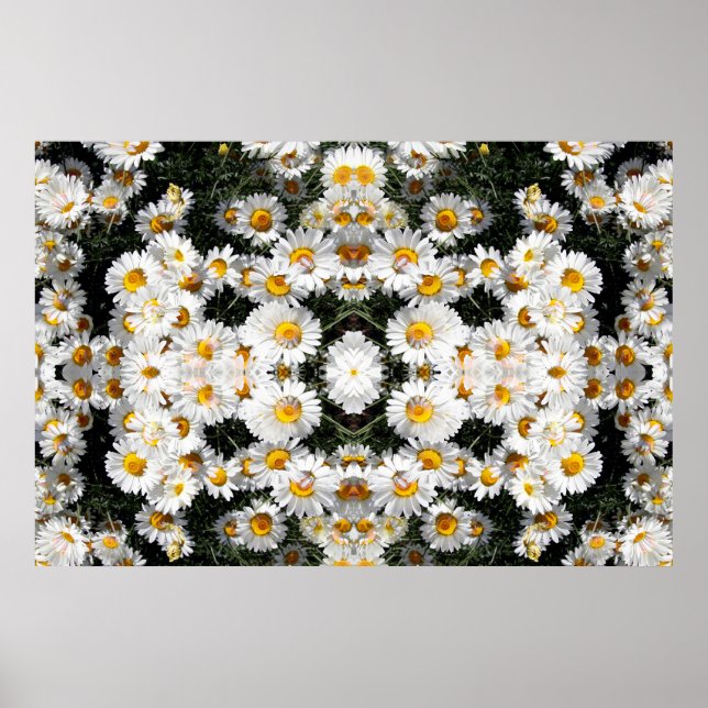 Affiches Motif de marguerites Kaleidoscope (Devant)