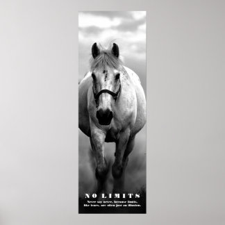 Affiches Motivation Cheval Sans Limites Artwork Noir Blanc
