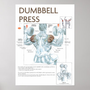 Affiches Motivation de l'entraînement