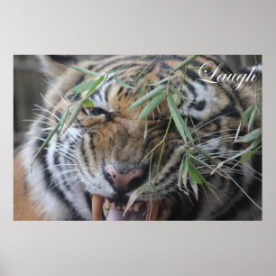 Affiches Motivez, de motivation, rire
