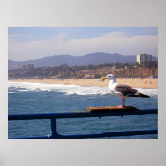 Affiches Mouette par Père Noël Monica Beach
