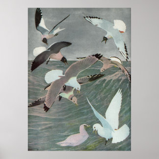 Affiches Mouettes au-dessus des vagues océaniques par Louis
