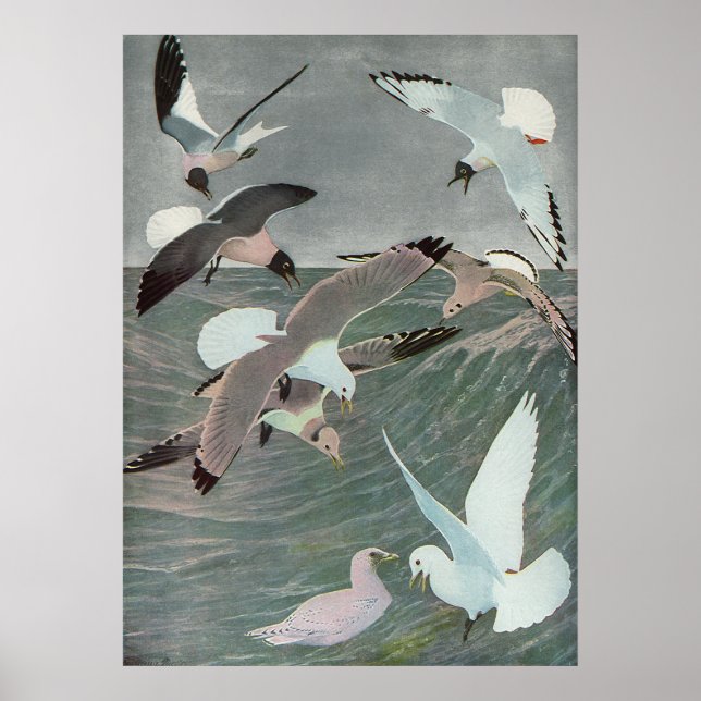 Affiches Mouettes au-dessus des vagues océaniques par Louis (Devant)