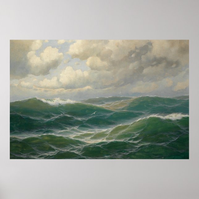 Affiches Mouettes au-dessus des vagues par Max Jensen (Devant)