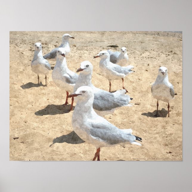 Affiches Mouettes En Bord De Mer (Devant)