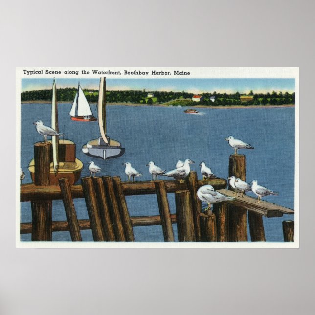 Affiches Mouettes et voiliers le long du front de mer (Devant)