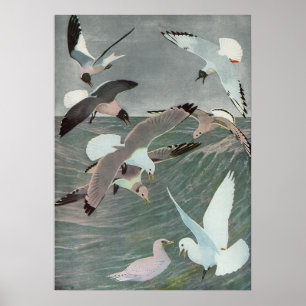 Affiches Mouettes sur les vagues de l'océan par Louis Agass