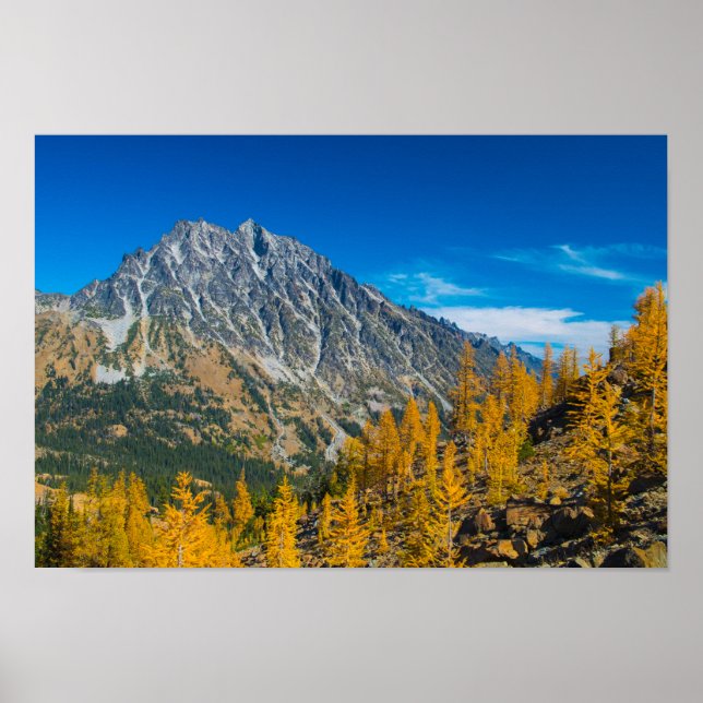 Affiches Mount Stuart & autumn larches (Devant)