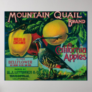 Affiches Mountain Quail Apple Crate Étiquette
