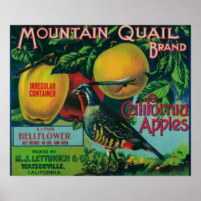 Affiches Mountain Quail Apple Crate Étiquette (Devant)